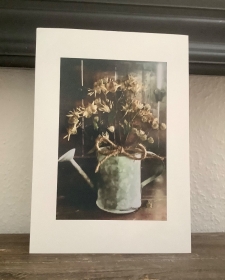 Fotodruck, Fotografie von echten gepressten Blüten der Schirm-Aster, Pflanzen, Wiesenblumen, Landhausstil, Vintage