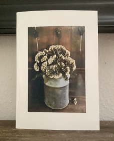 Fotodruck, Fotografie von echten gepressten Blüten der Schafgarbe, Pflanzen, Wiesenblumen, Landhausstil, Vintage