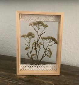  Schweberahmen, Herbarium, Blumenbilder - Echte gepresste Schafgarbenblüten in einem  Herbarium 