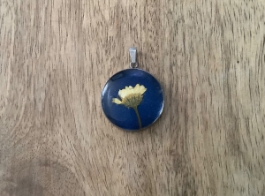 Schmuckanhänger aus Edelstahl mit echter Blüte - Echte gepresstes Jakobskrautblüte unter einem Glascabochon   