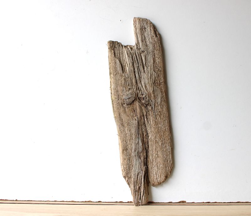 Treibholz Schwemmholz Driftwood 1 XL  Brett Garderobe Dekoration Regal Schlüsselbrett  59  cm   