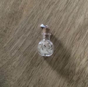 Schmuckanhänger - kleines Glasfläschchen mit Korken, gefüllt mit Pusteblumen
