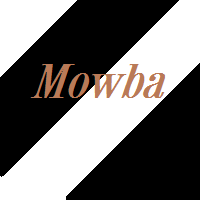Aus dem Shop von Mowba