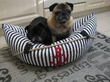 Bastelmops