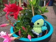 Aus dem Shop von jonathanantonia