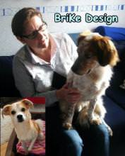 BriKeDesign