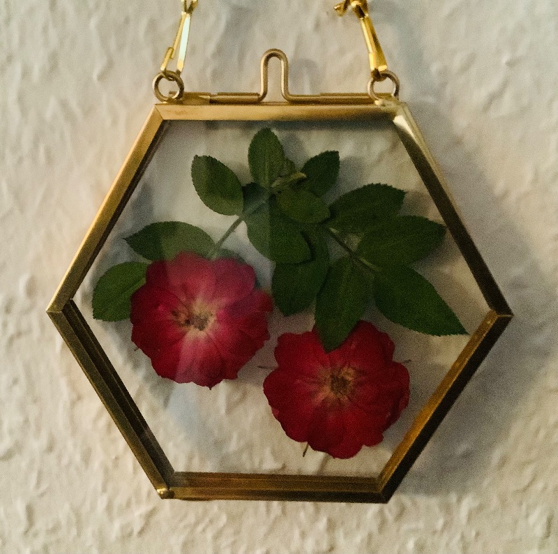  - Zwei einzelne gepresste Rosenblüten in einem Hexagon-Glasbilderrahmen - Unikat -