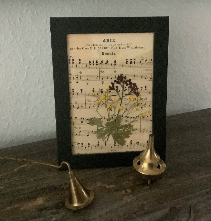  - Blumenbilder, Holzbilderrahmen, Fotobilderrahmen - Echte gepresste kleine Blüten auf einem alten Notenblatt  - 