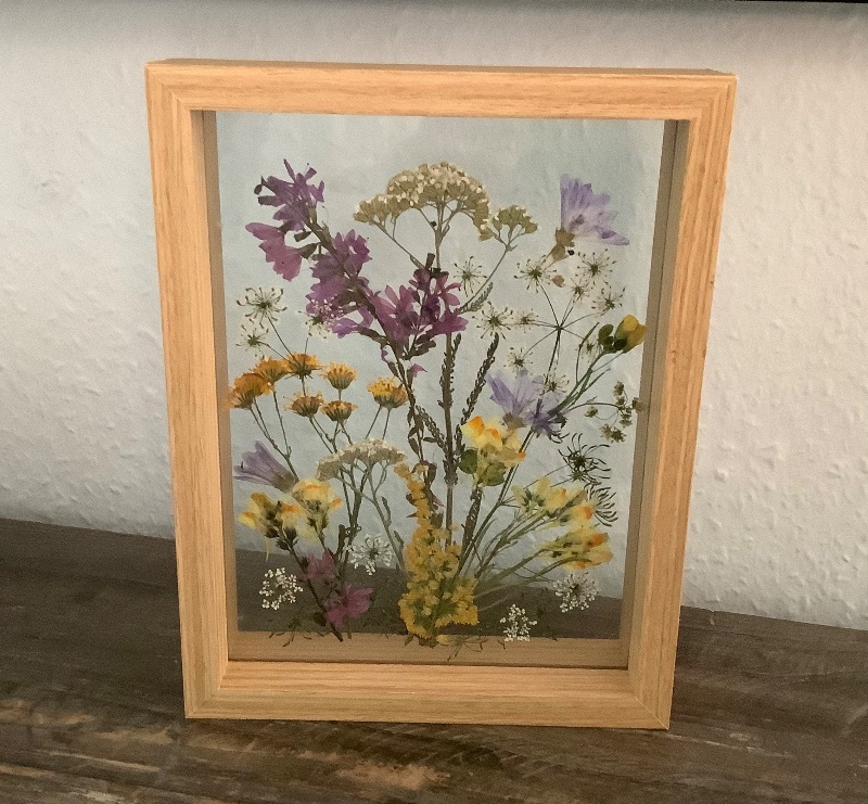  - Schweberahmen, Herbarium, Blumenbilder - Echte gepresste Blüten einer Blumenwiese in einem Herbarium