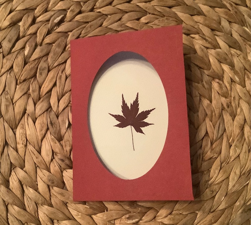  - Passepartoutkarte, Grußkarte mit echten Blüten - Rotes Ahornblatt -