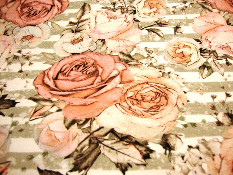 - Baumwolljerseystoff Digitaldruck große Rosen Blumen mit Streifen beige grau altrosa kaufen Meterware Jersey