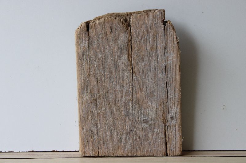  - Treibholz Schwemmholz Driftwood 1 XL Brett  35 cm hoch  
