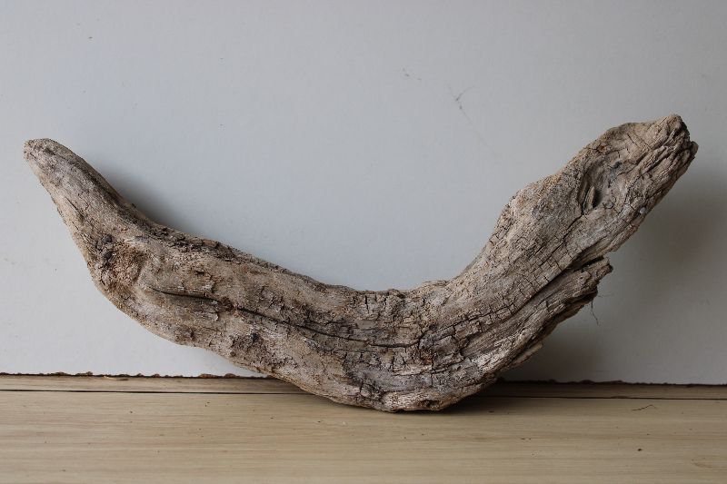  - Treibholz Schwemmholz Driftwood  1 knorrige  Skulptur 21 cm hoch  Dekoration Garten Maritim Terrarium  DIY  