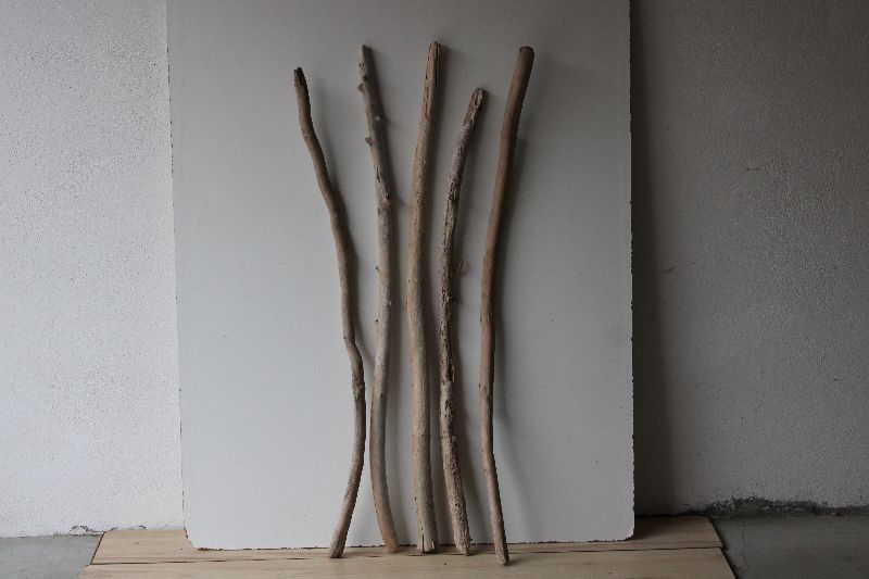  - Treibholz Schwemmholz Driftwood  5 XXL  Äste   102 cm - 112 cm  Dekoration Garten  Weihnachten Terrarium Maritim DIY   