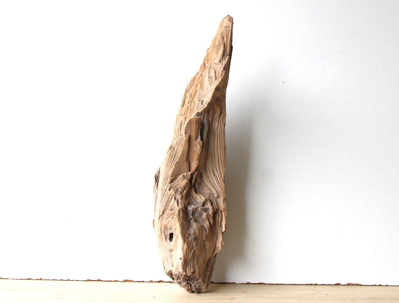  - Treibholz Schwemmholz Driftwood  1 knorrige  XL  Skulptur Terrarium Dekoration Garten  44 cm **9**   