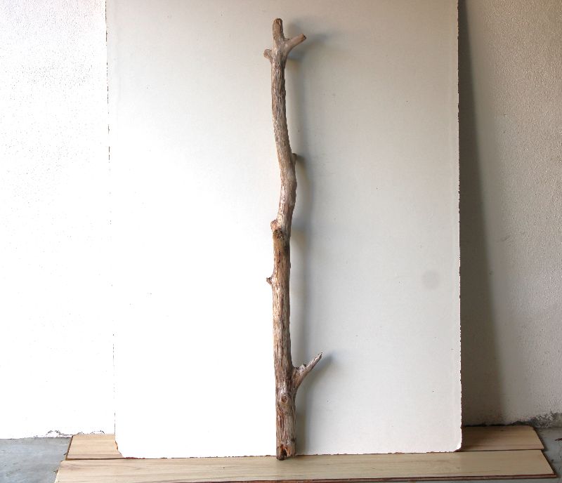  - Treibholz Schwemmholz Driftwood  1 MEGA   Ast   Skulptur Terrarium Dekoration Weihnachten  Garderobe   125 cm  