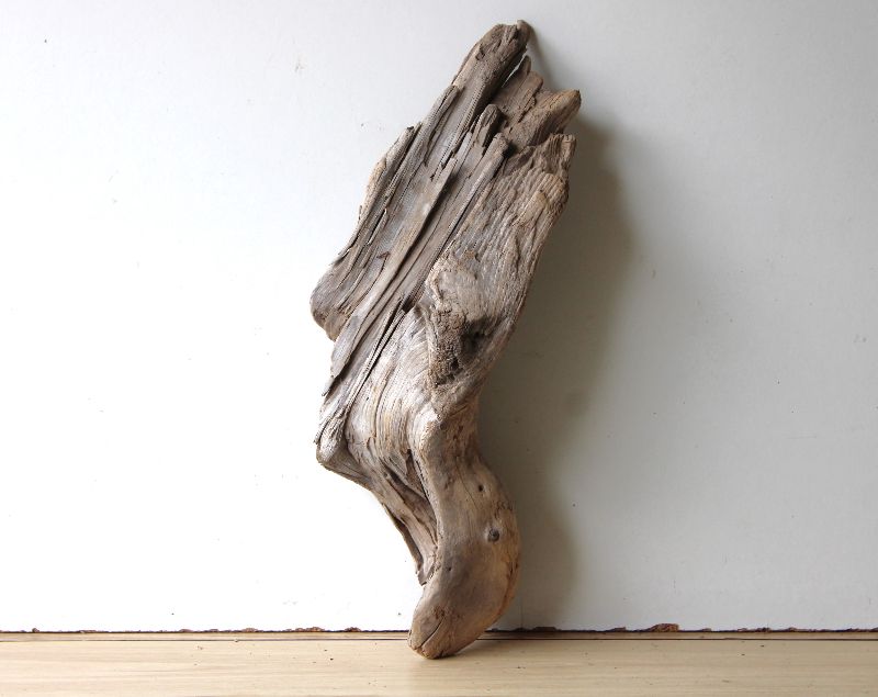  - Treibholz Schwemmholz Driftwood  1 knorrige   XL   Skulptur Terrarium Dekoration Garten Aquarium  53 cm    