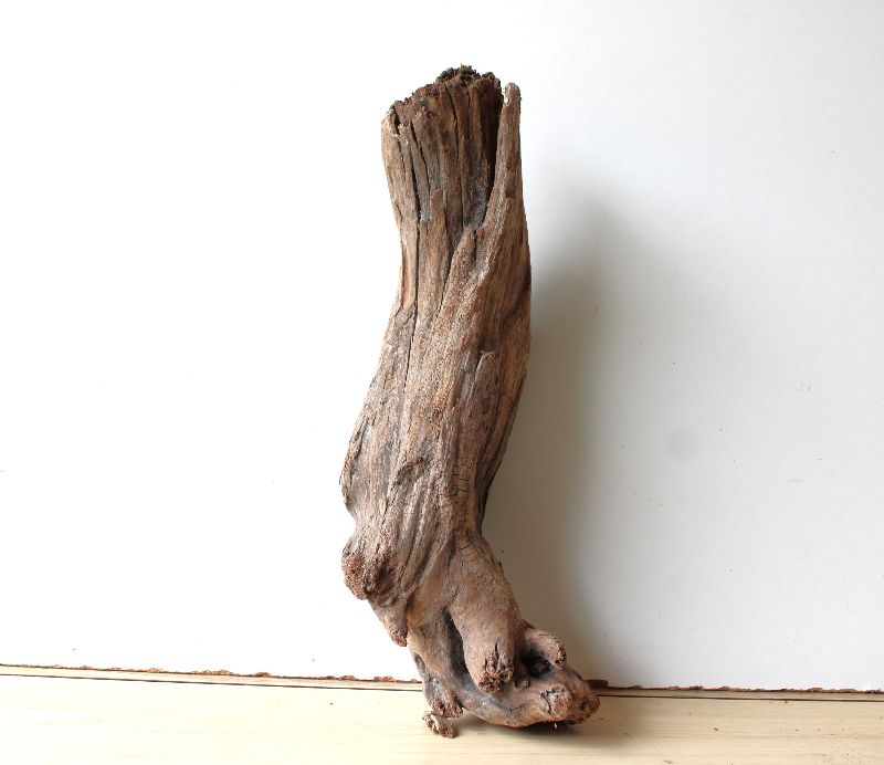  - Treibholz Schwemmholz Driftwood  1 knorrige   Skulptur Terrarium Dekoration Garten Aquarium  46 cm    