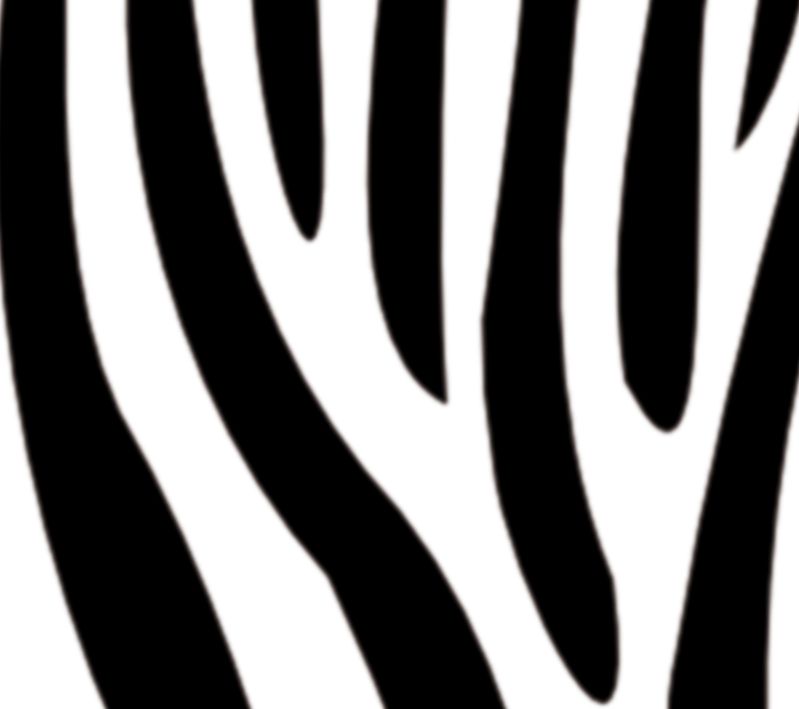  - Wandbordüre - selbstklebend | Zebrastreifen - weiß farbig - 13 cm Höhe | Vlies Bordüre mit tierischem Muster - Zebra 