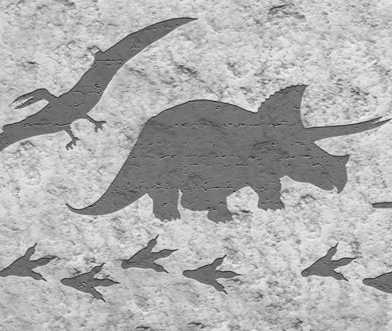  - Kinderbordüre - selbstklebend | Dinos auf Steinoptik - 18 cm Höhe | Vlies Bordüre mit T-Rex, Langhals, Stegosaurus, Flugsaurier 