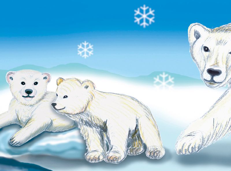  - Kinderbordüre - selbstklebend | Polarwelt Tiere - 23 cm Höhe | Vlies Bordüre mit Eisbären, Pinguinen, Babyrobbe 