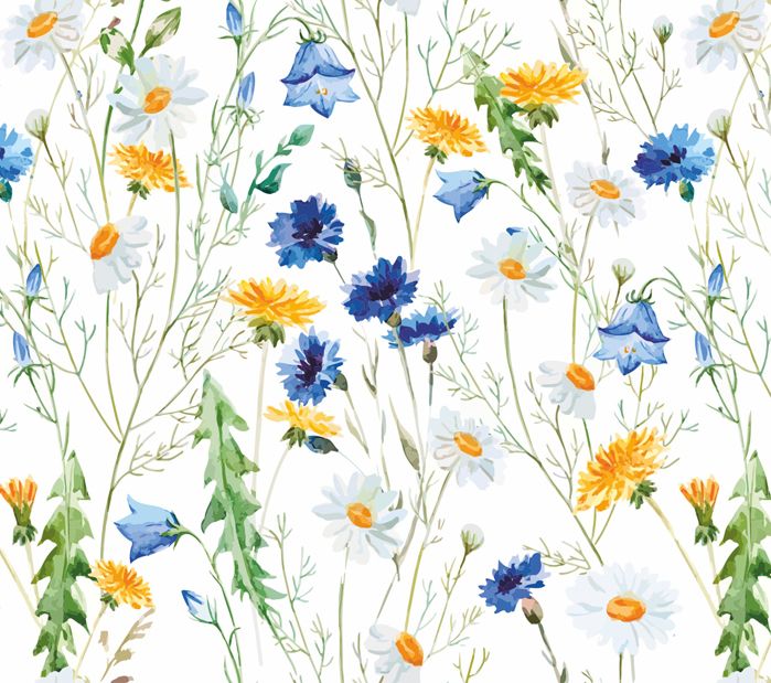  - Wandbordüre - selbstklebend | Wiesenblumen - Watercolor - 20 cm Höhe | Vlies Bordüre mit romantischen Kornblumen, Magariten, Löwenzahn, Glockenblumen