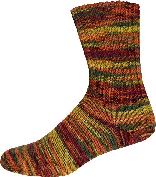  - Sockenwolle Family Socks Color 225g Farbe: 2314