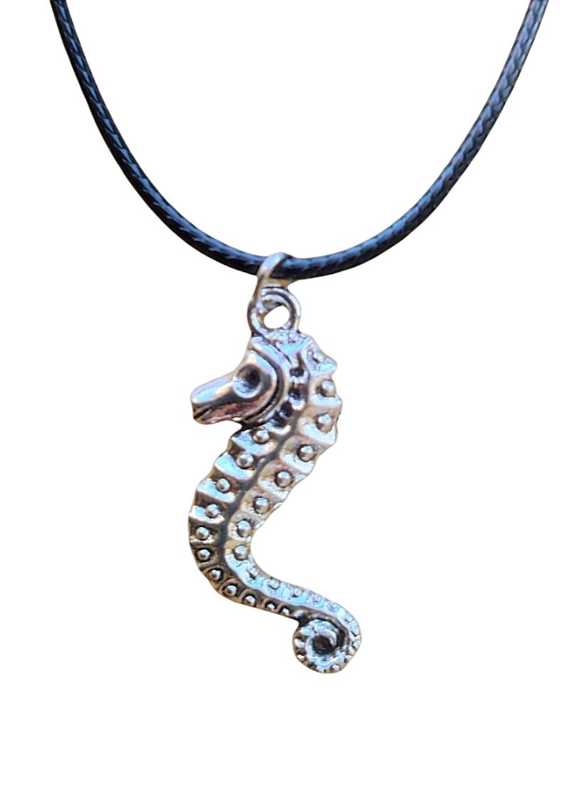 - Halskette mit einem silbernen Anhänger mit einem längenverstellbaren Verschluss aus einer geflochtenen schwarzen Lederschnur.  