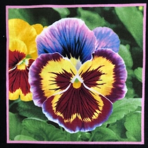 Baumwollstoff Motiv Blume Stiefmütterchen 18cm mal 18cm 