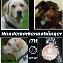 2064.180409.210828_foto-collagen-app_nmxdtp