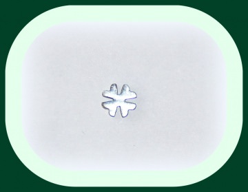 2488.180810.125309_dsc04169