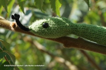 2628.180717.193225_grnemamba_04