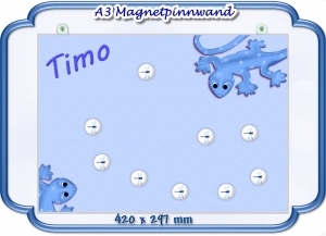 2741.181015.202423_13salamander