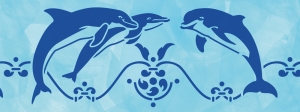 2806-55447788256_1071_dolphins
