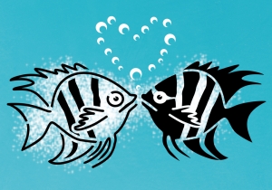 2806-55447788268_0977_fischli