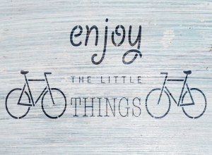 2806-55447788517_0925_enjoy