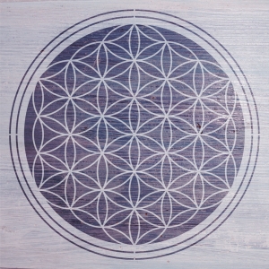 2806-55447788540_1193_blumedeslebens