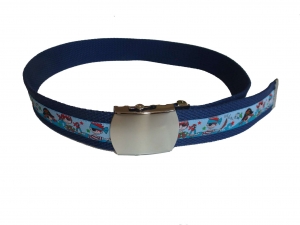 2836-355510314_piratenblau