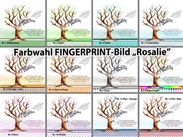 2999.180709.182152_farbwahlrosalie