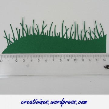 3027.180806.093722_stanz-grass-1