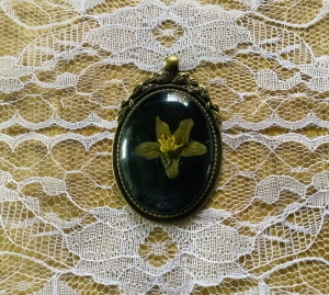 Nostalgischer ovaler Schmuckanhänger mit echter Blüte - Echte gepresste Blüte der Zaunrübe in einem großen bronzefarbenen Schmuckanhänger               