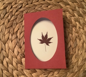 Passepartoutkarte, Grußkarte mit echten Blüten - Rotes Ahornblatt -