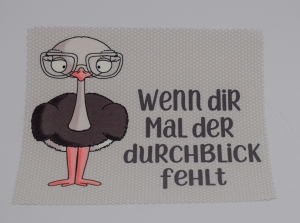 Brillenputztuch★Glastuch★Displayreinigung★Sublimationsdruck★ ... Strauß Durchblick fehlt