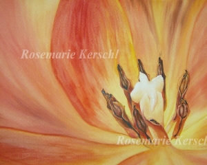 3615.181015.084826_k-tulpe3d40x30