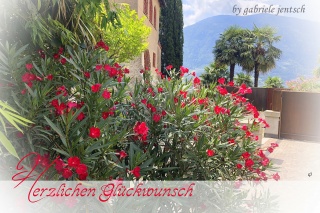 Geburtstagskarte Karte zum Geburtstag mediterran