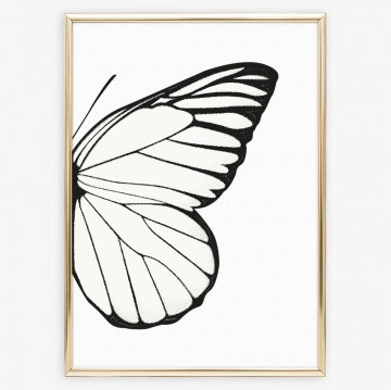 3674.180716.182342_wings-left