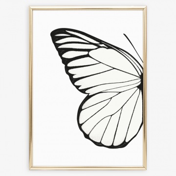 3674.180716.182637_wings-right