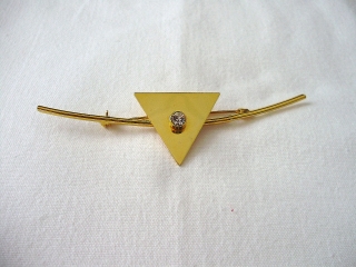 3870.180905.111620_70erstabbrosche-dreieckm.strass-goldig1oly