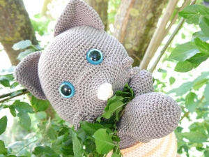 3989.181014.160212_kuschelkatze013