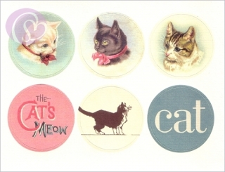 4023.180913.185058_cav_cat5